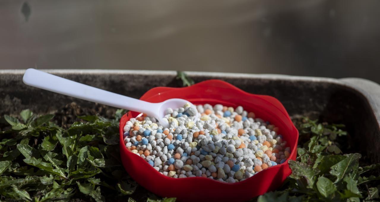 有机肥需要发酵多长时间？各种肥料用后几天见效？有效期各多长？