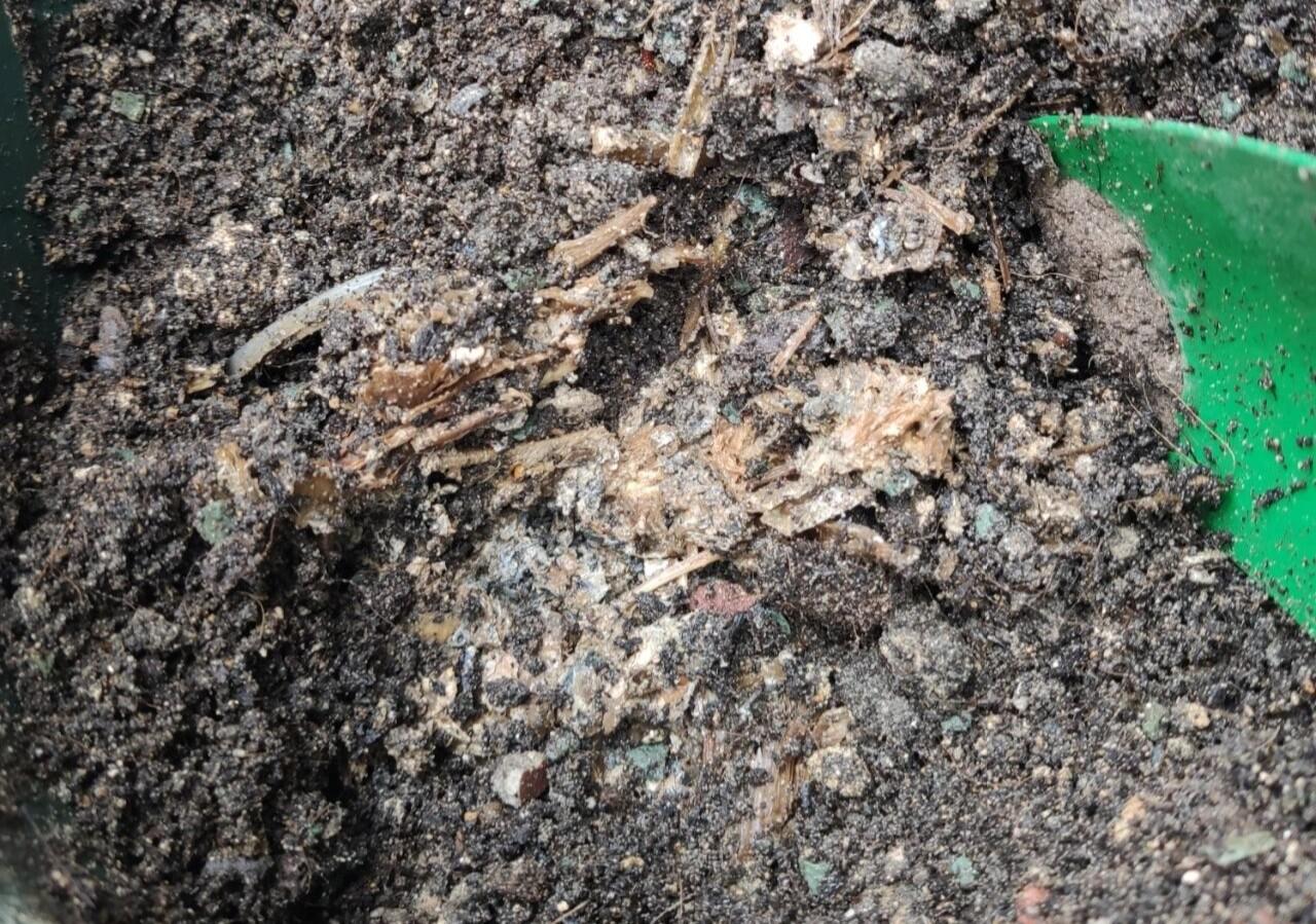 毒营养土坑苦种菜人！教你3招辨别，自制配方更安心，种菜先养土