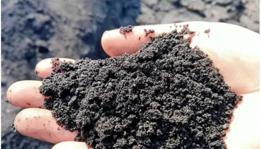 毒营养土坑苦种菜人！教你3招辨别，自制配方更安心，种菜先养土