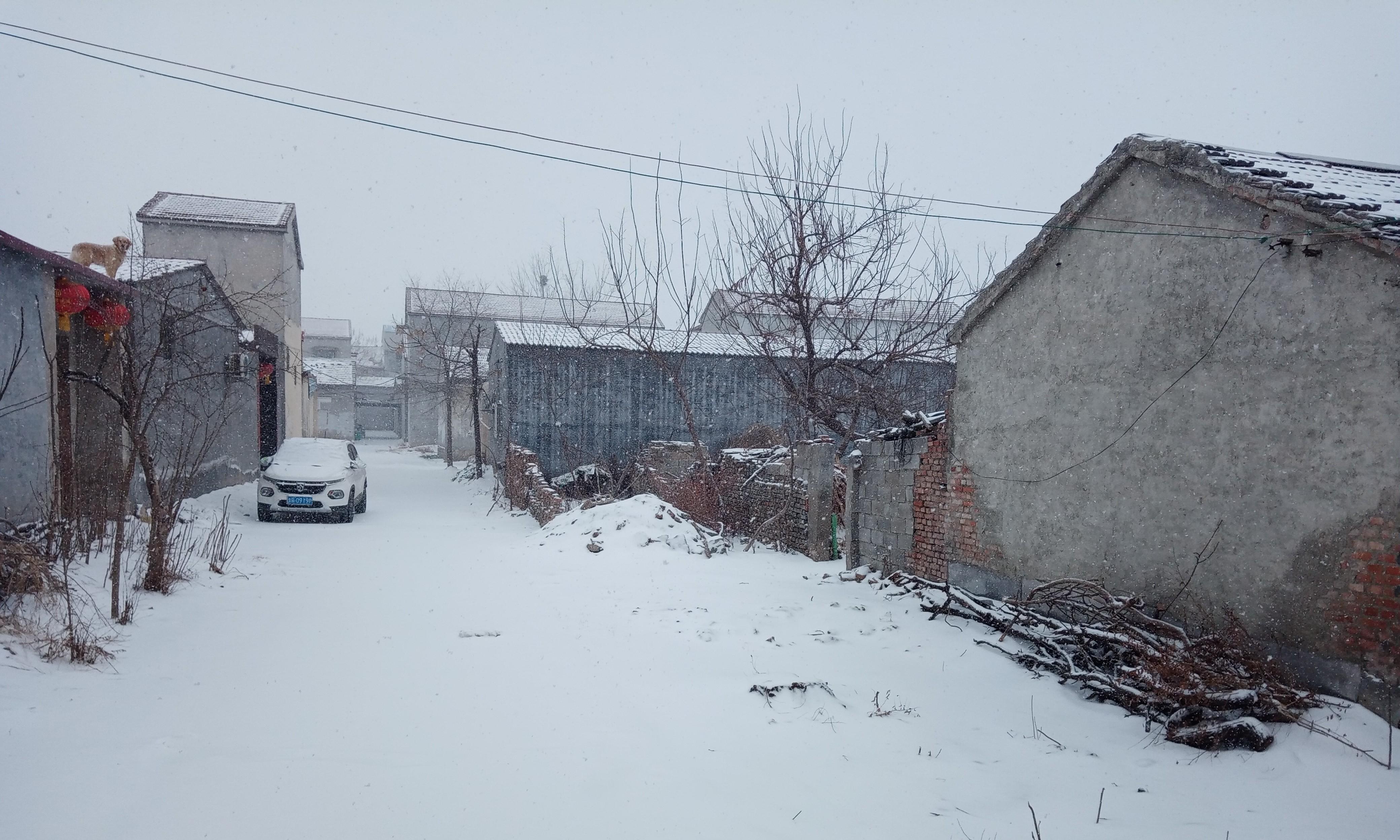 “立冬逢午，春节雪捂”，2026年春节雪多吗？立冬的时间有预兆