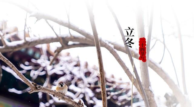 “冬天雪大不大，冷不冷？就看立冬节气，今日立冬，有啥说法？