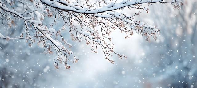 “冬天雪大不大，冷不冷？就看立冬节气，今日立冬，有啥说法？