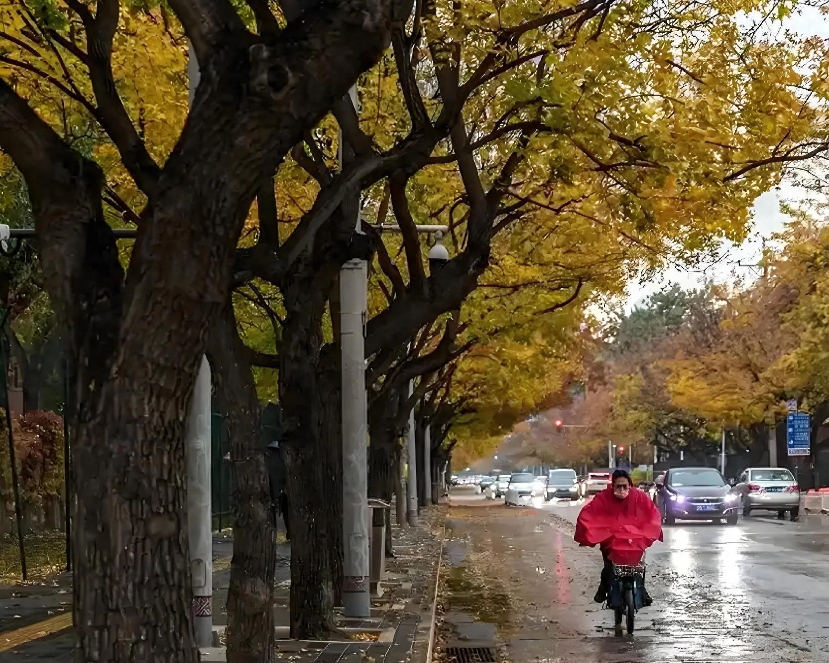 立冬下雨是福是祸?老农:这5类蔬菜抓紧种,来年开春赚翻天!