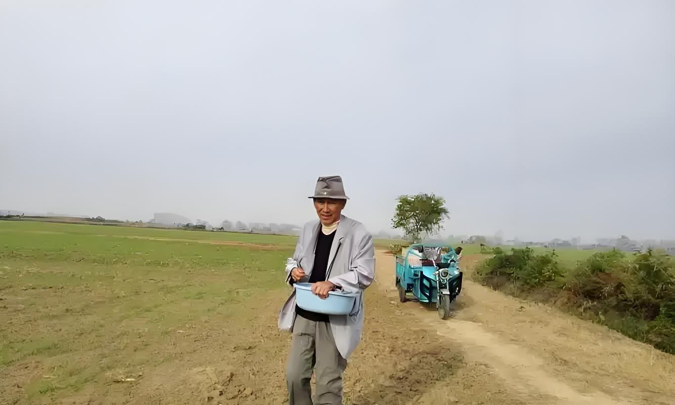 小麦高产7成靠种，3成靠管？老农实话：选不对种子，累死也白搭！