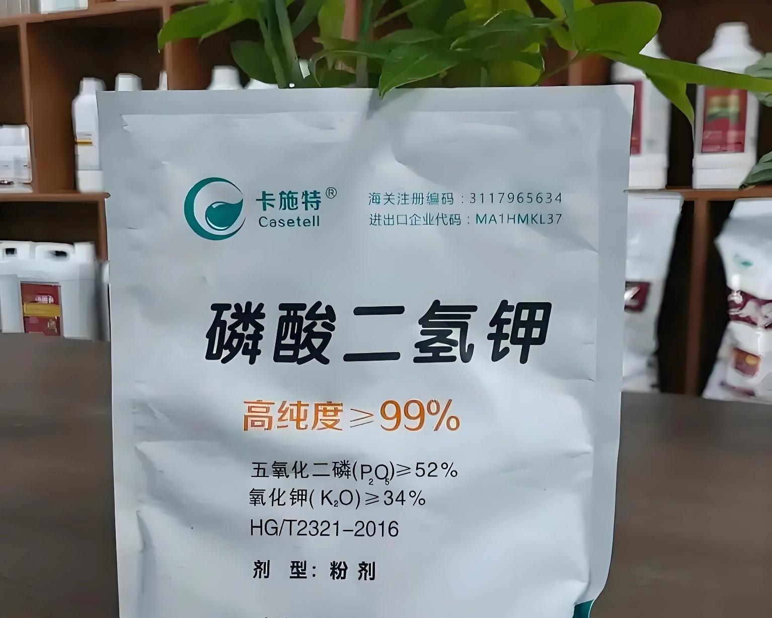 红薯根埋桶里，真能结红薯？老农教你3大诀窍，一桶轻松收10斤！