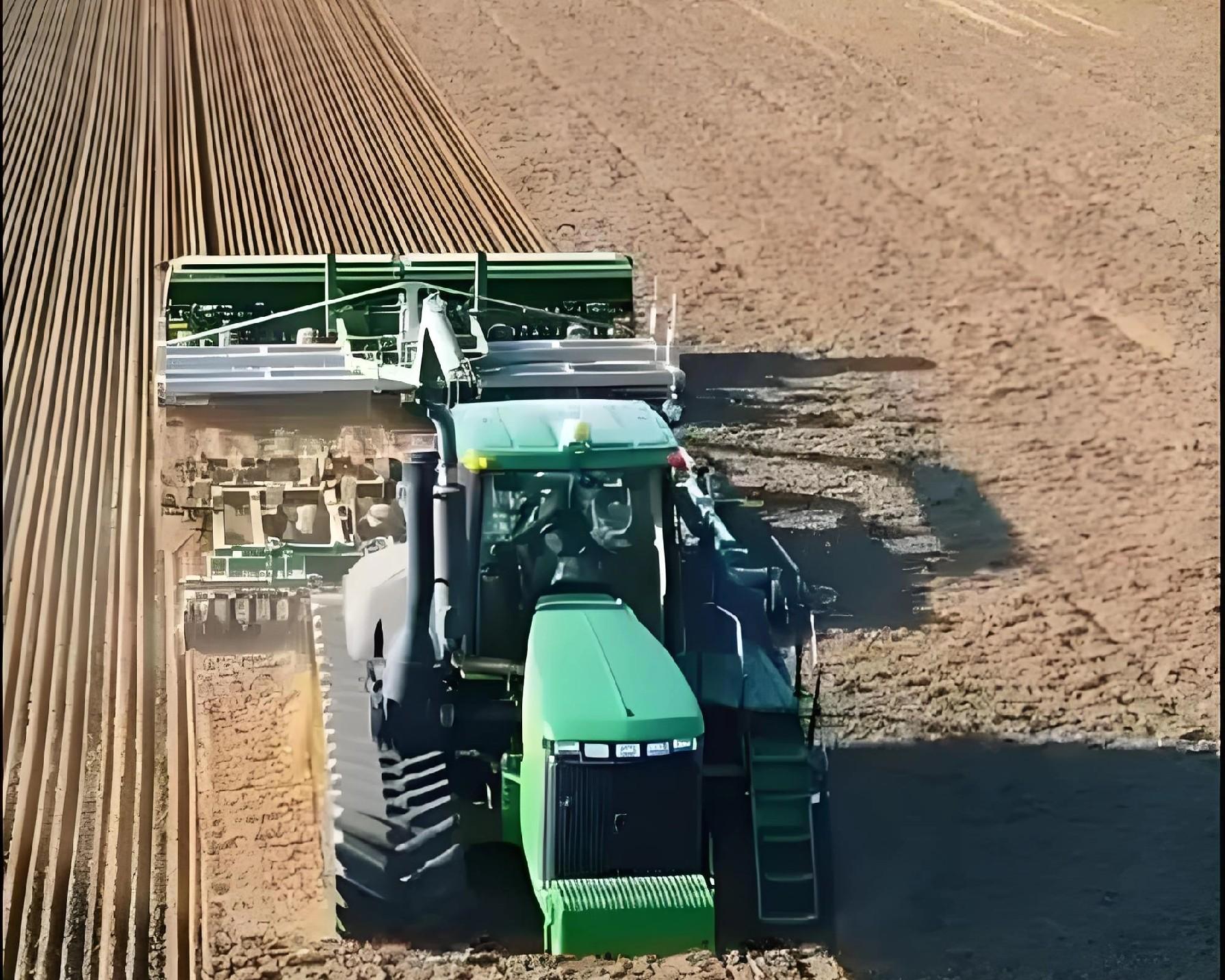 播种后7天还是15天出苗？出苗就浇水=踩雷！老农3句话点透