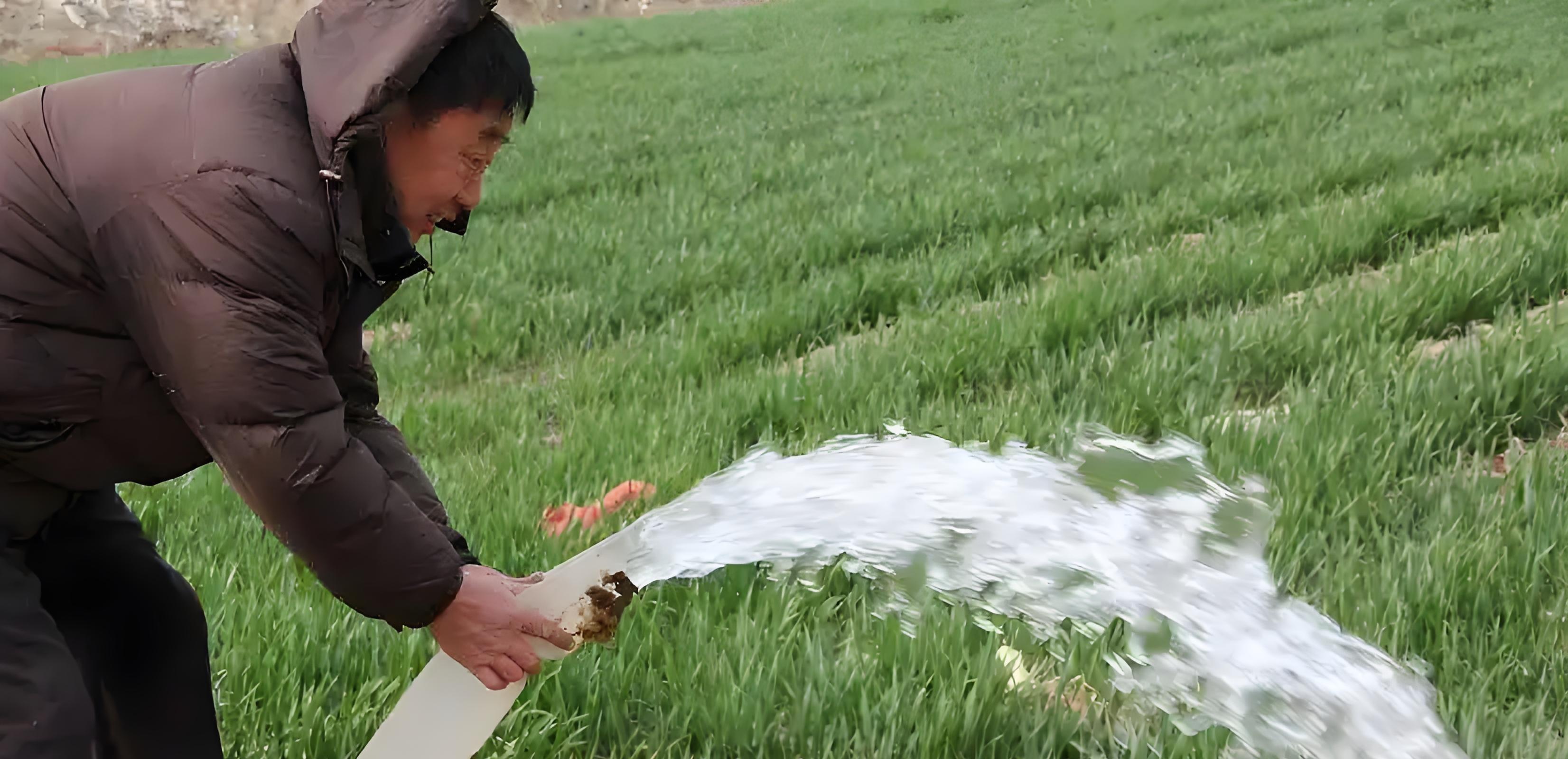 播种后7天还是15天出苗？出苗就浇水=踩雷！老农3句话点透