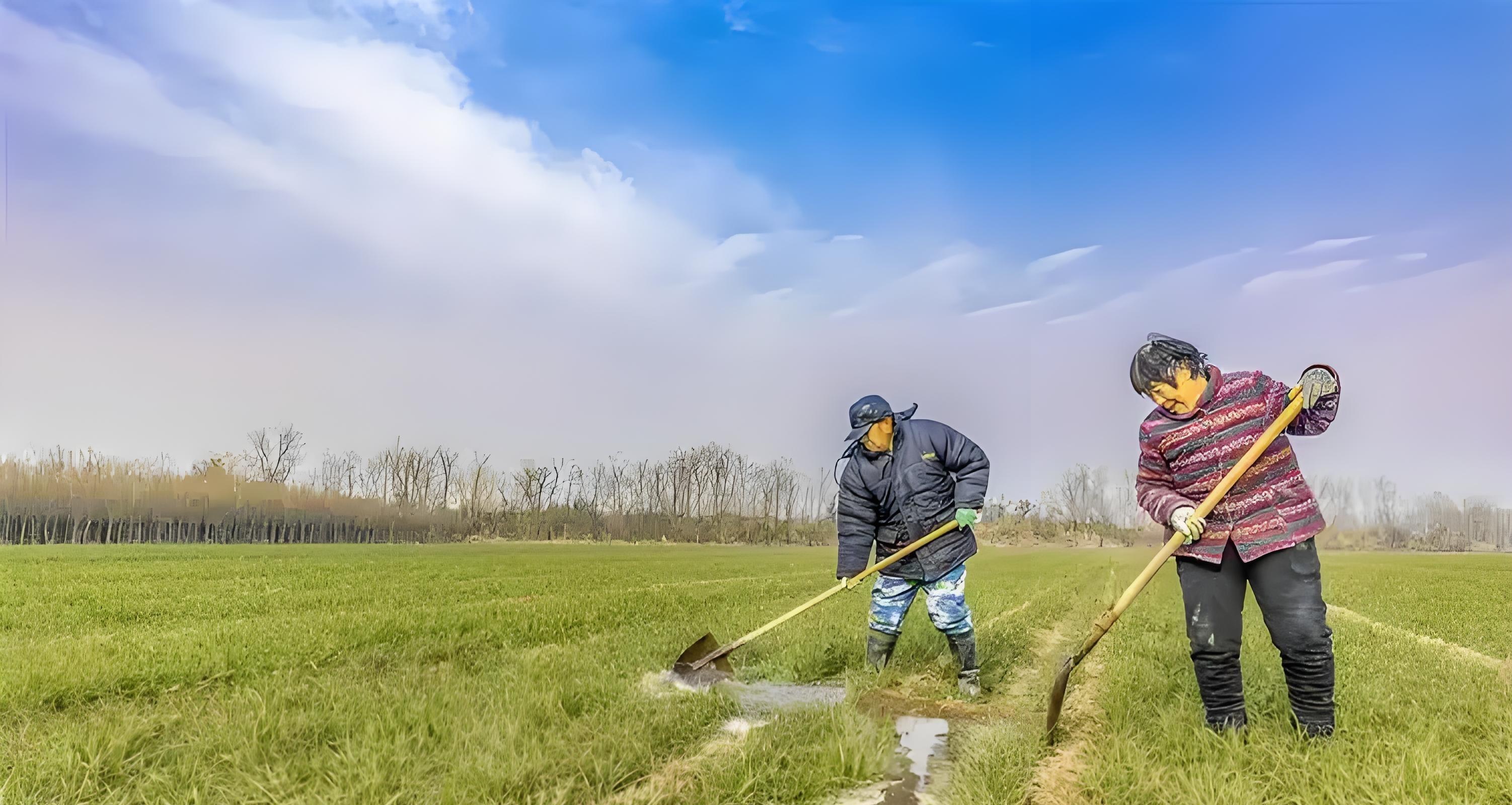 播种后7天还是15天出苗？出苗就浇水=踩雷！老农3句话点透