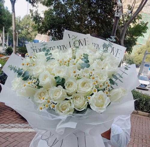 白玫瑰的代表寓意与花语（美丽纯洁的白玫瑰）