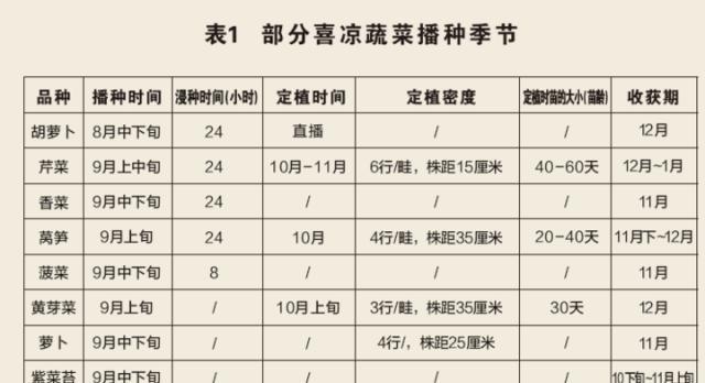 阳台种植菠菜的最佳时间是什么时候？有哪些简单方法？