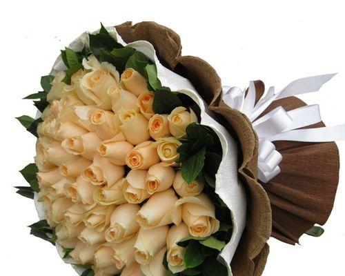 香槟玫瑰(香槟玫瑰的美丽与意义)