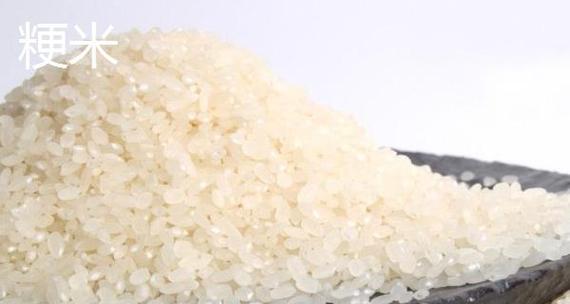 粳米和糯米一样吗?它们的区别点在哪里? 粳米和糯米一样吗?它们的区别点在哪里?