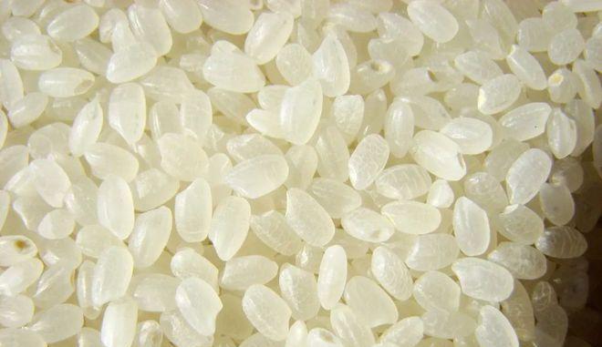 粳米和糯米一样吗?它们的区别点在哪里? 粳米和糯米一样吗?它们的区别点在哪里?