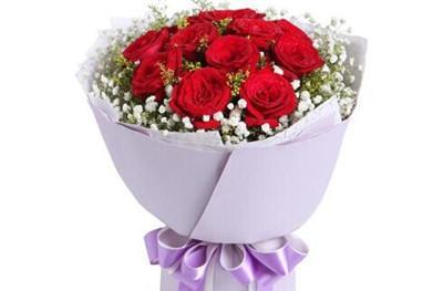 十一朵粉玫瑰的花语及寓意（传达爱意和祝福的十一朵粉玫瑰）