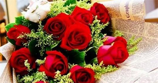 红色玫瑰的花语与意义（探寻红色玫瑰的情感象征）