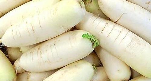 萝卜不能与哪些食物搭配?了解食物相克的正确方法是什么? 萝卜不能与哪些食物搭配?了解食物相克的正确方法是什么?