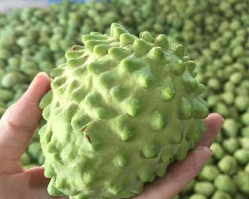 哪里的释迦果最美味？如何辨别优质释迦果？