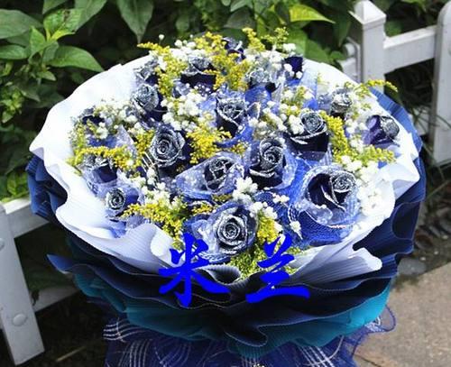 蓝色妖姬（蓝色妖姬）