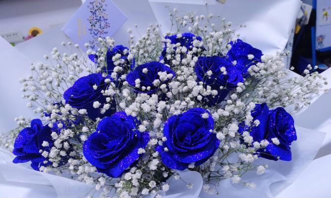 蓝色妖姬（蓝色妖姬）