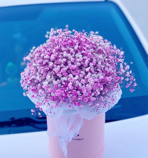 蓝色满天星花语之美丽与希望(蓝色满天星的花语及象征意义解读)