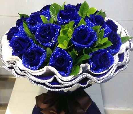 蓝色妖姬（蓝色妖姬的魅力及其隐含的寓意）