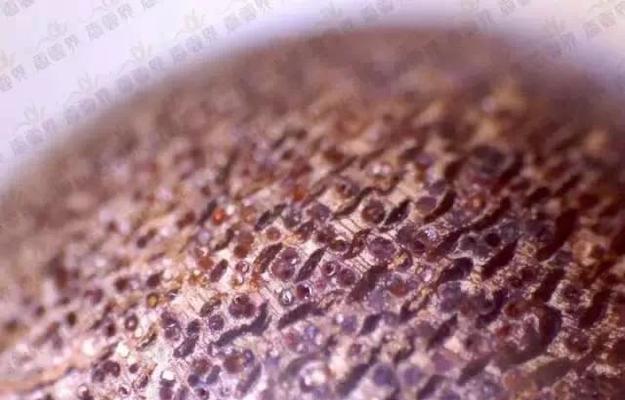 烟熏木是什么木材？它的特点和用途有哪些？