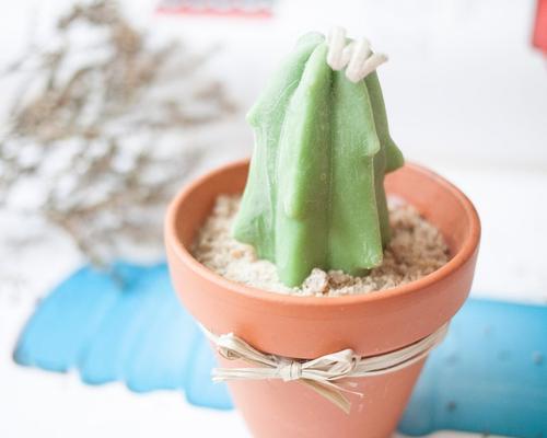 青柠味道真的好闻吗？如何辨别青柠的香气品质？