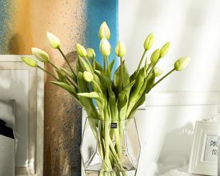 郁金香放在卧室安全吗？需要注意什么？