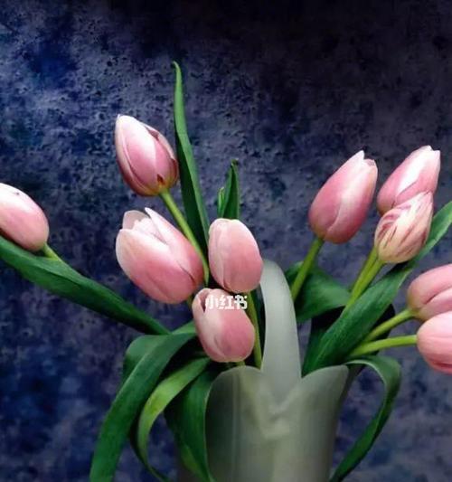 郁金香放在卧室安全吗？需要注意什么？