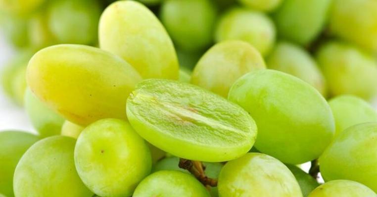 提子的性质是什么?吃多了会上火吗? 提子的性质是什么?吃多了会上火吗?