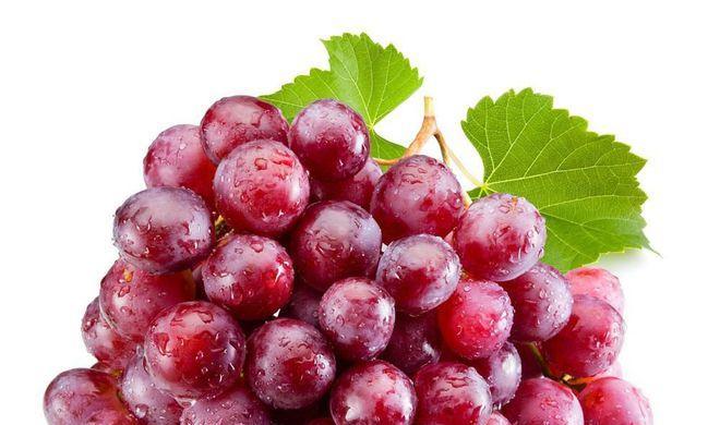 提子的性质是什么?吃多了会上火吗? 提子的性质是什么?吃多了会上火吗?