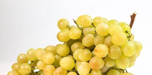 提子的性质是什么?吃多了会上火吗? 提子的性质是什么?吃多了会上火吗?