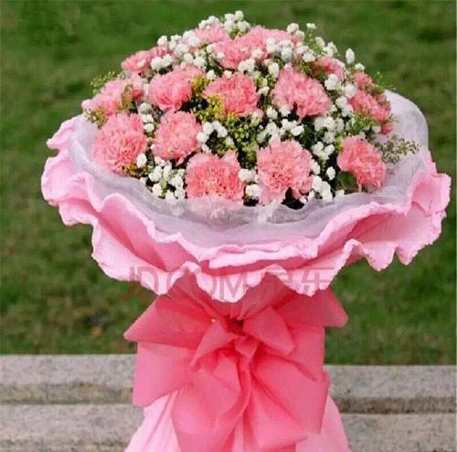 粉康乃馨的花语与意义（浪漫而温馨的花语）