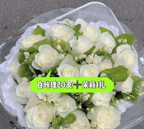 白色玫瑰花花语的含义和象征（纯洁）