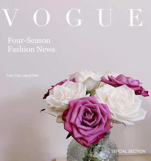 芬德拉玫瑰花语（探索芬德拉玫瑰的美丽语言）