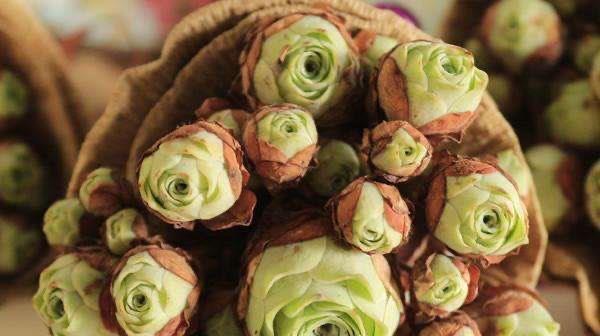 山地玫瑰之美——花开如诗（秀丽多姿的山地玫瑰绽放出爱与希望的力量）