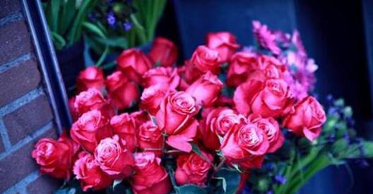 送玫瑰花的寓意与意义(探索玫瑰花的象征和传递的情感) 送玫瑰花的寓意与意义(探索玫瑰花的象征和传递的情感)