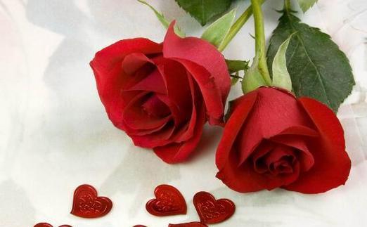 送玫瑰花的寓意与意义(探索玫瑰花的象征和传递的情感) 送玫瑰花的寓意与意义(探索玫瑰花的象征和传递的情感)