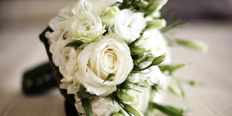 白玫瑰的美丽与象征意义（纯洁无瑕的花朵）