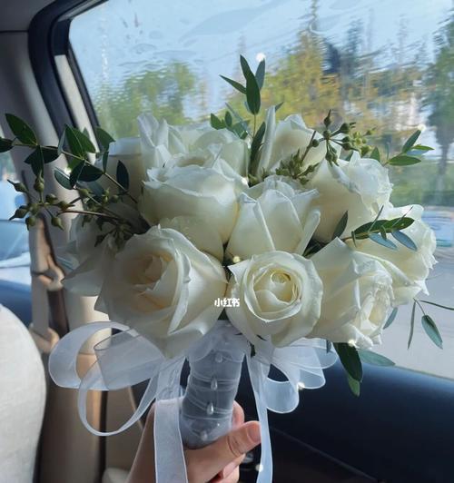 白玫瑰的美丽与象征意义（纯洁无瑕的花朵）