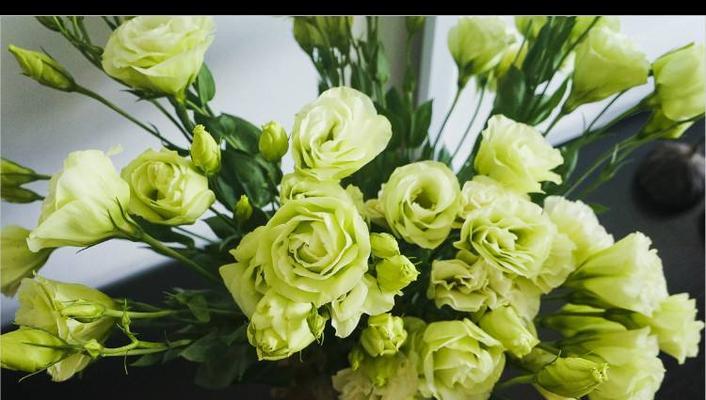 香槟洋桔梗花语搭配（用花语传递心意）