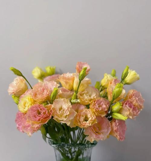 香槟洋桔梗花语搭配（用花语传递心意）