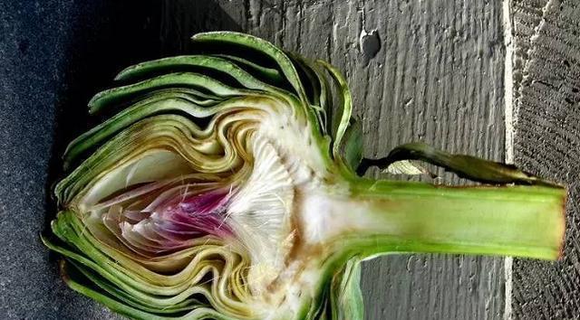 植物分株繁殖（探索植物分株繁殖的奥秘）