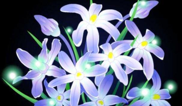 双生花的花语与寓意（探寻双生花的深层含义）