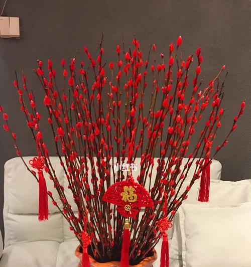 年宵花,吉祥之源(华彩绽放) 年宵花,吉祥之源(华彩绽放)