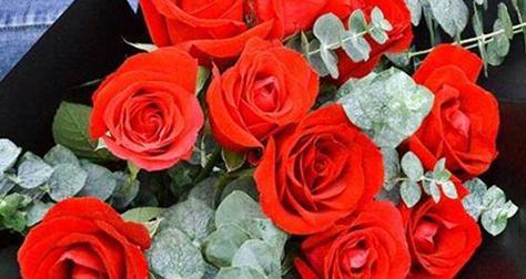 三朵玫瑰花语的深刻含义（解读三朵玫瑰花语的浪漫与真情）