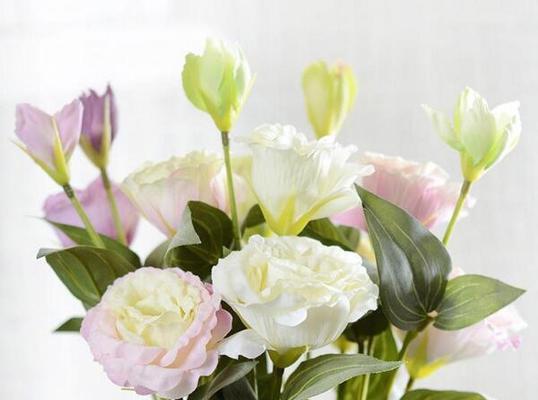 缤纷花语（以不同颜色洋桔梗的花语展示自然的奇迹）