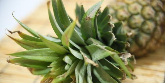 如何判断菠萝是否成熟？简单技巧告诉你！