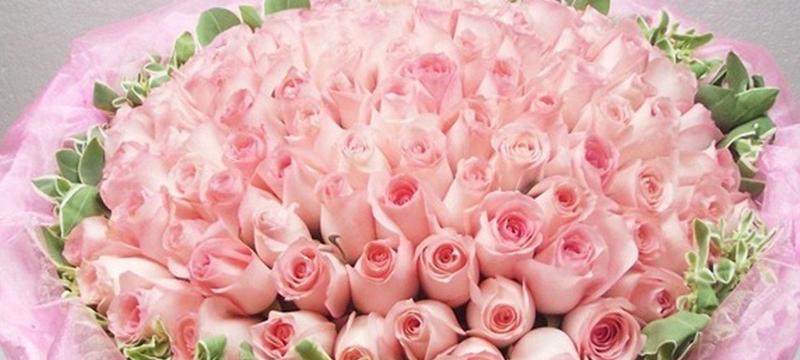 11朵粉玫瑰的含义与象征（传递浪漫与温柔的花语）