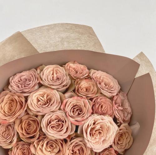 卡布奇诺玫瑰花语（探寻卡布奇诺玫瑰所传递的情感与意义）